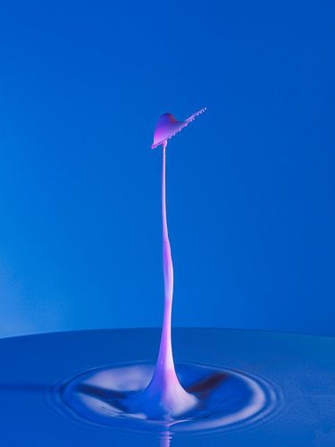 waterdrop #1 van Martin Tromp