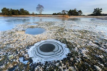 Bevroren ven in winterlandschap, Buurserzand, Overijssel, Nederland