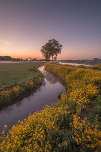 Landscape in spring