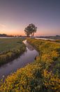 Landscape in spring by Moetwil en van Dijk - Fotografie thumbnail