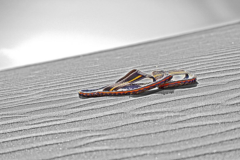 Flip Flop by John Wieringa
