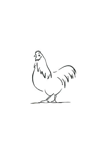Coq