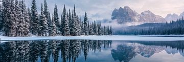 Winter berglandschap van Poster Art Shop