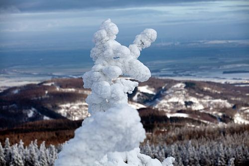 Uitzicht vanaf de Leistenklippe (Harz)