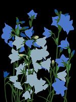 Blue in Bloom