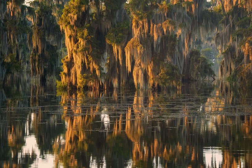 Un matin au paradis par Martin Podt