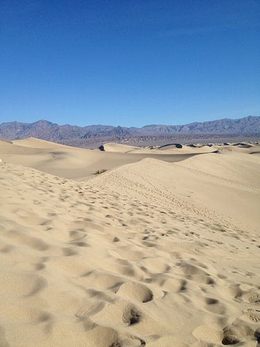 Zand duinen, Death Valley, CA, USA