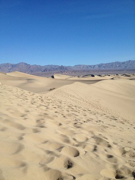 Zand duinen, Death Valley, CA, USA by Dennis Kok