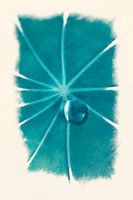 Goutte de rosée sur une feuille