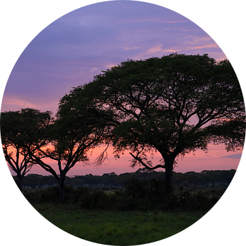 Zonsondergang in Murchison Falls Nationaal Park, Oeganda van Alexander Ludwig