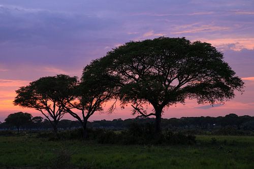 Zonsondergang in Murchison Falls Nationaal Park, Oeganda