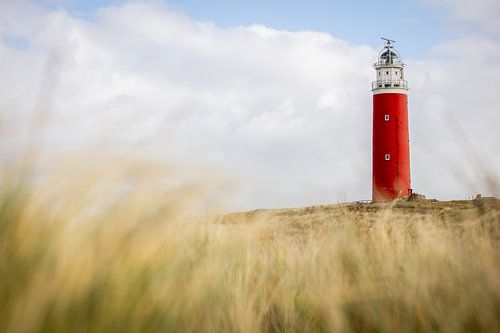 Texel lighthouse from the dunes