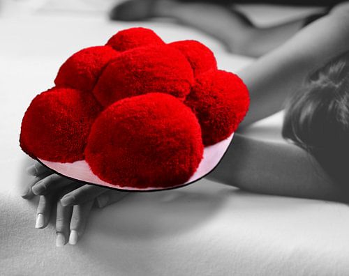 Bollenhut Droom ART 1.1