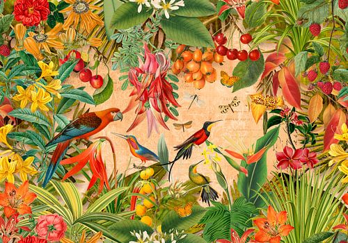 Paradis de la jungle sur Andrea Haase