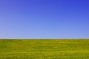 Wiese und Himmel
