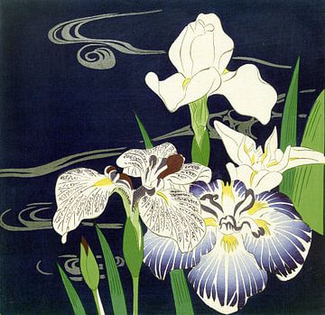 Iris, Tsukioka Kôgyo