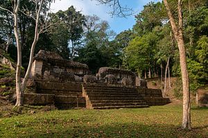 Guatemala: Tikal (Yax Mutal) van Maarten Verhees