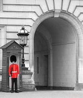 Queen's guard