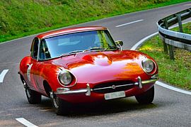 Jaguar E-Type S1,5 FHC - Start 129 - Eggberg Klassik 2025 von Ingo Laue