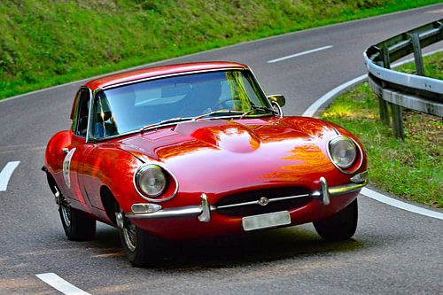 Jaguar E-Type S1.5 FHC - Start 129 - Eggberg Classic 2025