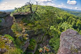 Vosges landscape by Tanja Voigt