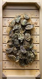 Huîtres dans une caisse de vente aux enchères sur Roland van Balen