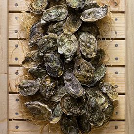 Oysters in auction crate by Roland van Balen