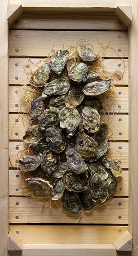 Oesters in Veilingkrat