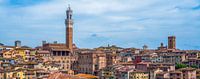Siena - backside view of Torre del Mangia van Teun Ruijters thumbnail