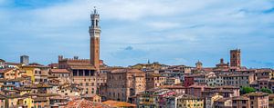 Siena - backside view of Torre del Mangia