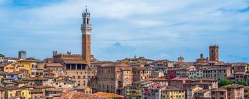 Siena - backside view of Torre del Mangia by Teun Ruijters