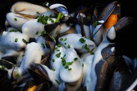 Moules Roquefort - Moules Roquefort sur Maurits Bredius