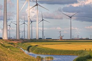 Le moulin Goliath contre Éoliennes