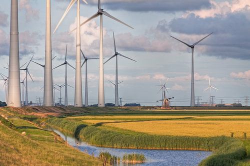 Poldermolen Goliath vs. Windturbines