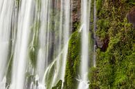 Colombiaanse waterval van Graham Forrester thumbnail