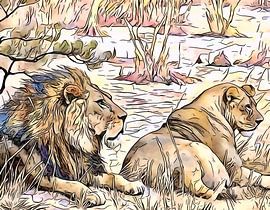 On safari in Africa, motif 5 by zam art