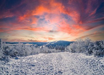 Fantastischer Wintertag im Erzgebirge mit Schnee und Sonnenuntergang von Animaflora PicsStock