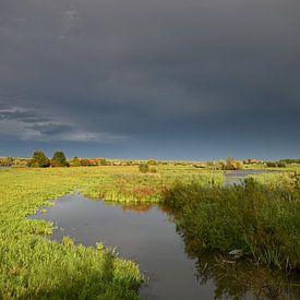 Stilte voor de storm in Gelderland . van Jose Lok