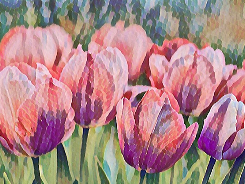 Spring | Spring is a colourful image of tulips in the mood of Monet by Wil Vervenne