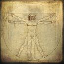 Learn how to see - Leonardo da Vinci van Studio Papilio thumbnail