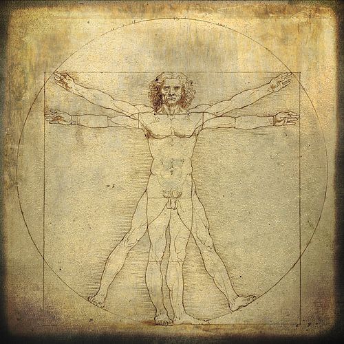 Learn how to see - Leonardo da Vinci
