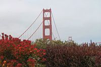 Pont du Golden Gate