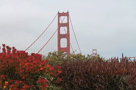 Golden Gate Bridge by Paulien Hemelaar