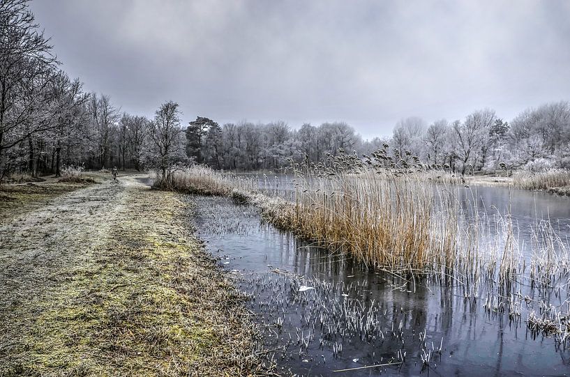 Winter bij de Tenellaplas van Frans Blok