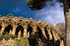 Verwondering in  het park von Elwin Flik