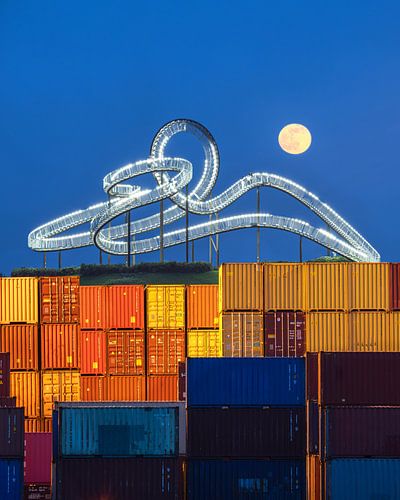 Bezienswaardigheid Tijger en schildpad, Duisburg, Duitsland