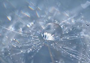 'Software' (Hellblauer Fussel mit Tropfen)