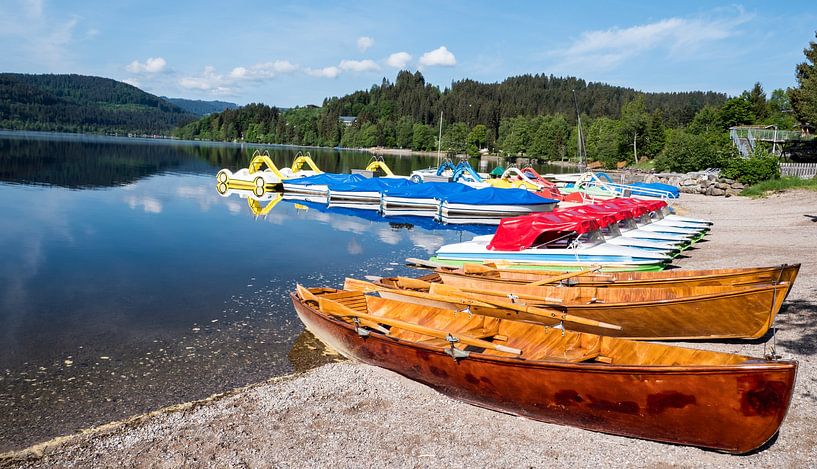 Ruderboote am Titisee im Hochschwarzwald von Animaflora PicsStock