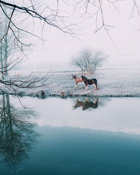 Pastellfarbener Zauberfluss Regge von Vladimir Fotografie