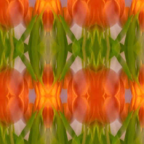 Tulpencollage | Abstract